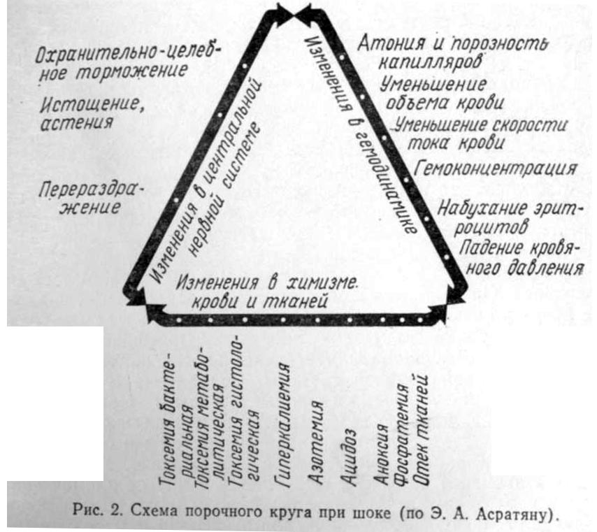 схема порочного круга по асратяну
